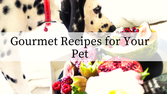 Gourmet Recipes for Your Pet